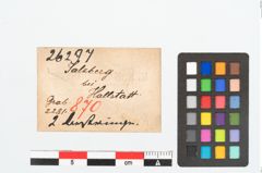 Etikett zu Bernsteinringperle (NHMW-PRAE-026297)